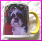 Caneca